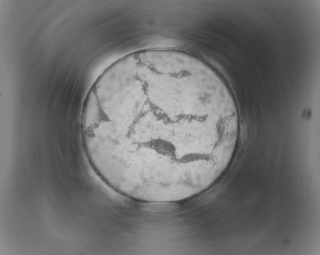 X0000112351487200909241050