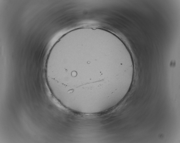 X0000112351488200909241050