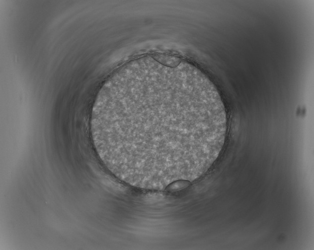 X0000112351489200909241049