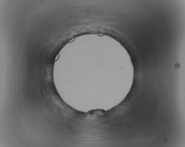 X0000112351490200909241049