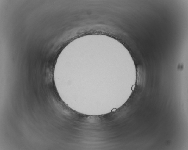 X0000112351491200909241049