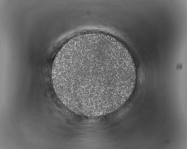 X0000112351494200909241049