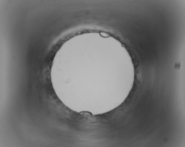 X0000112351495200909241049