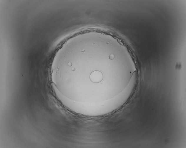 X0000112351496200909241049