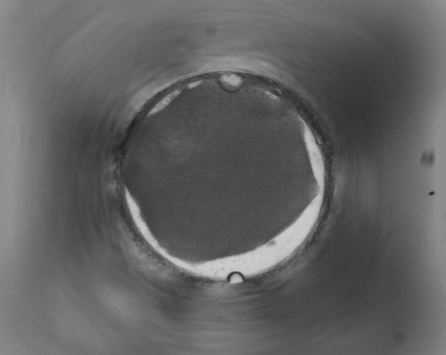 X0000112351497200909241049