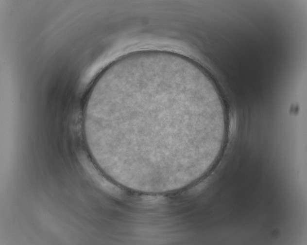 X0000112351498200909241049