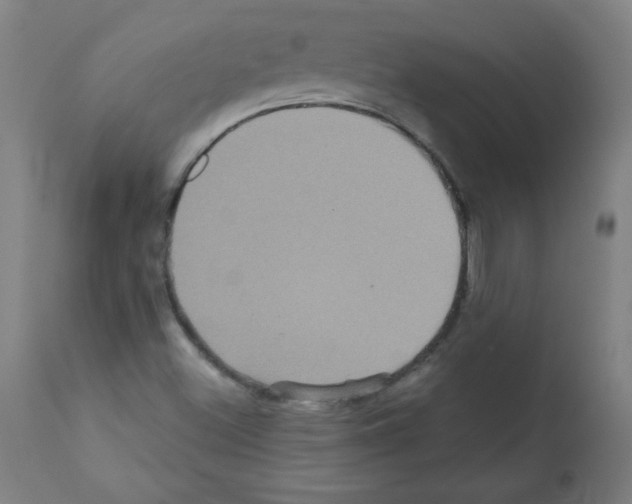 X0000112351500200909241049