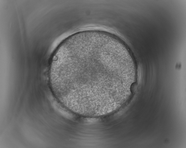 X0000112351501200909241049