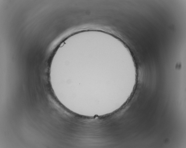 X0000112351502200909241049