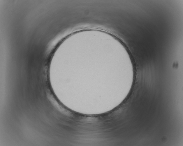 X0000112351503200909241050