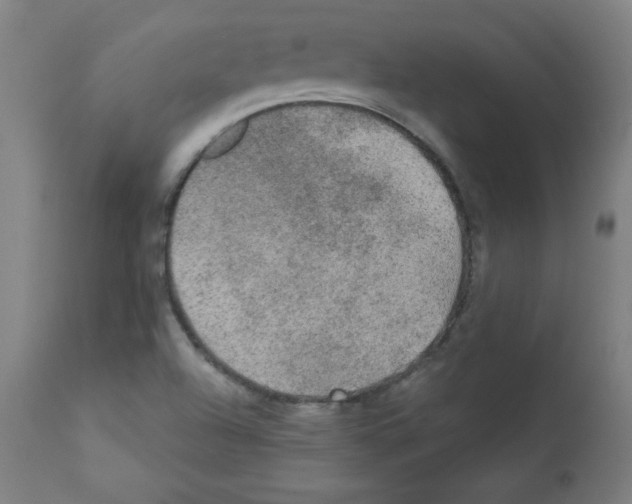 X0000112351504200909241050