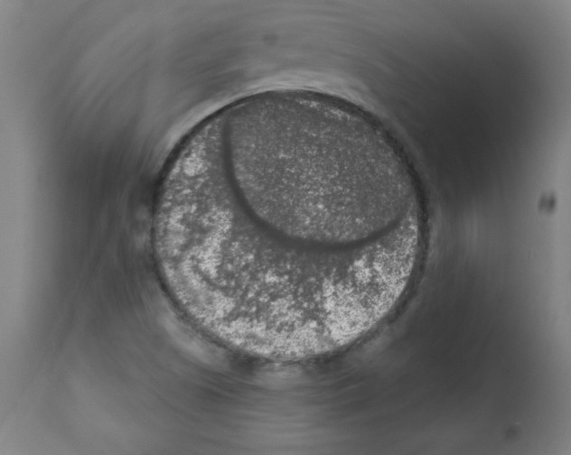 X0000112351505200909241050