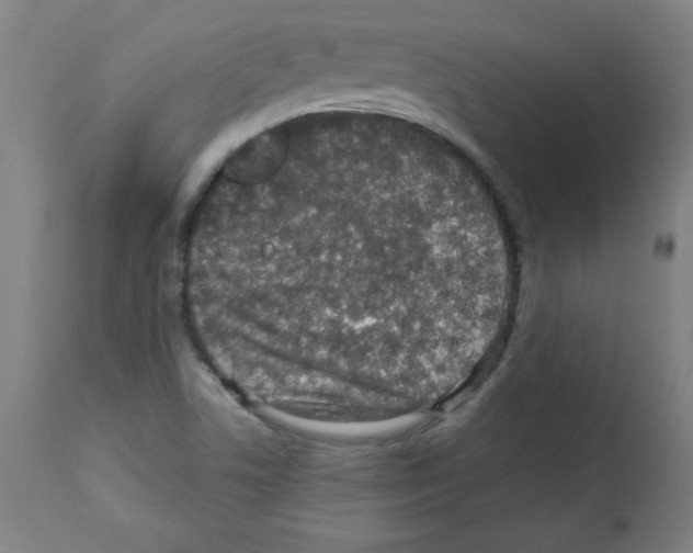 X0000112351506200909241050