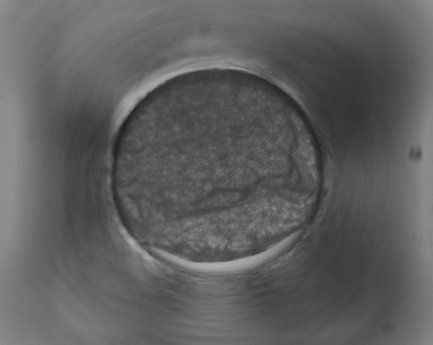 X0000112351508200909241050