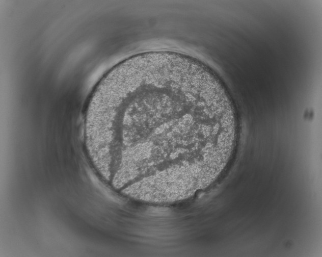 X0000112351509200909241050