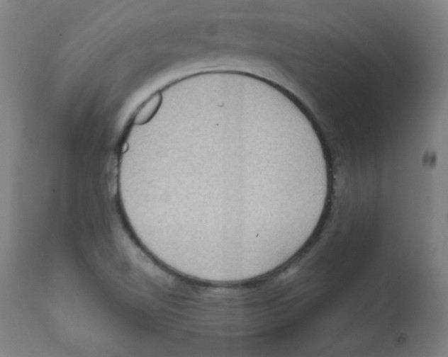 X0000112351510200909241050