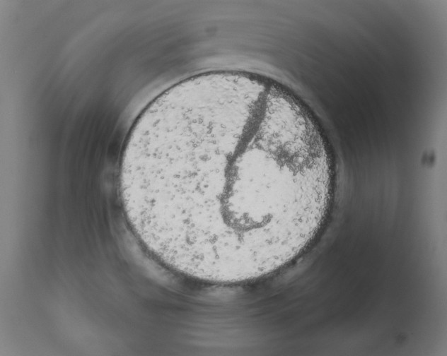 X0000112351513200909241050