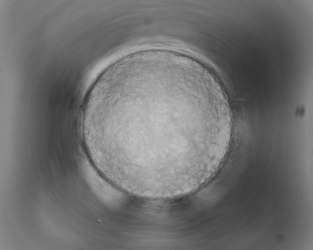 X0000112351514200909241050