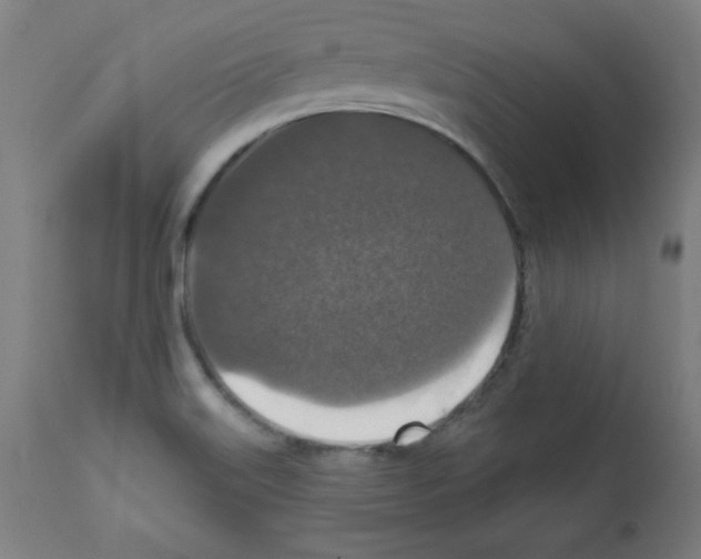 X0000112351515200909241050