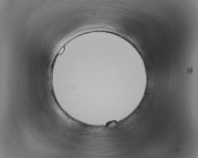 X0000112351516200909241050