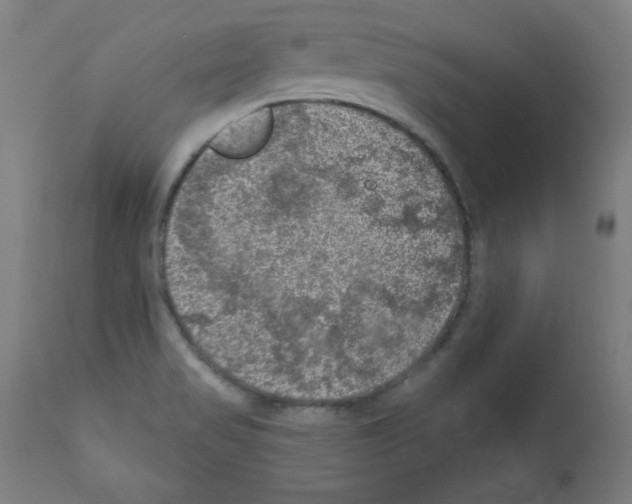 X0000112351517200909241050