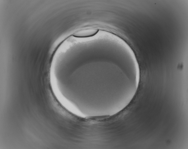 X0000112351522200909241050