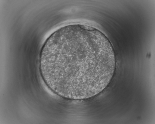 X0000112351523200909241050