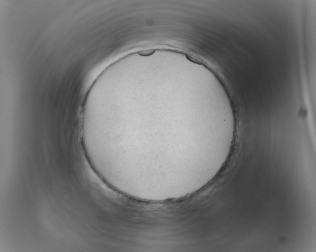 X0000112351524200909241050