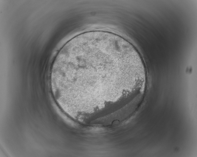 X0000112351525200909241050