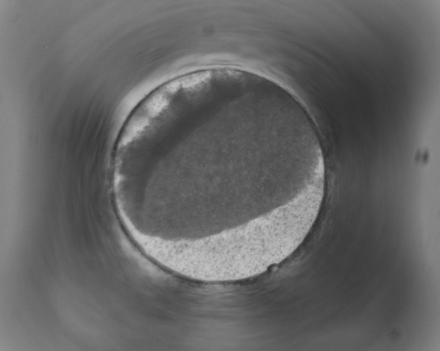 X0000112351527200909241050