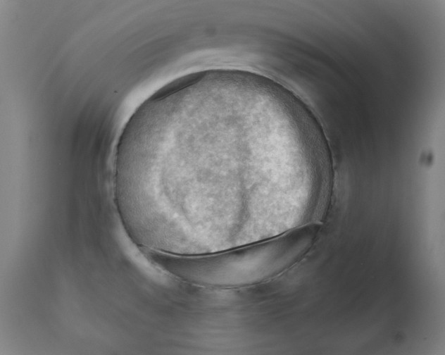 X0000112351528200909241050