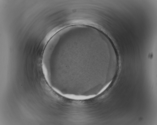 X0000112351529200909241050