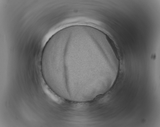 X0000112351530200909241050