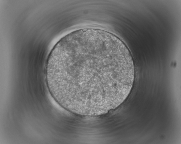 X0000112351531200909241050