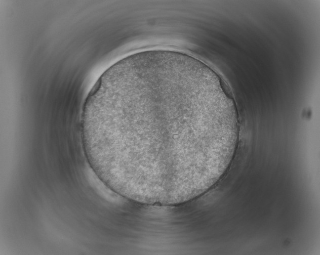 X0000112351532200909241050