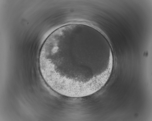 X0000112351533200909241050