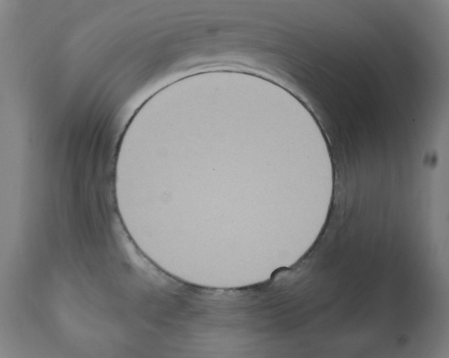 X0000112351534200909241050