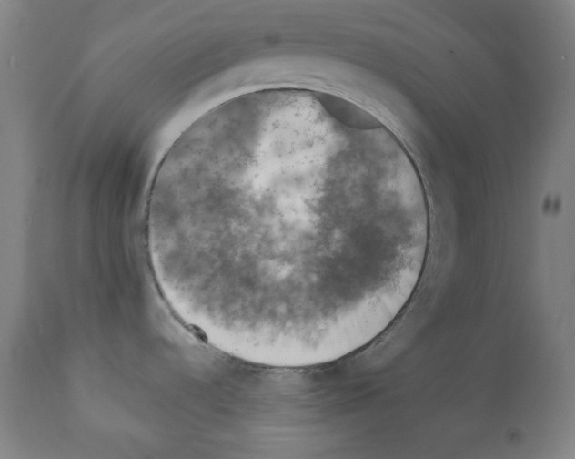 X0000112351536200909241050