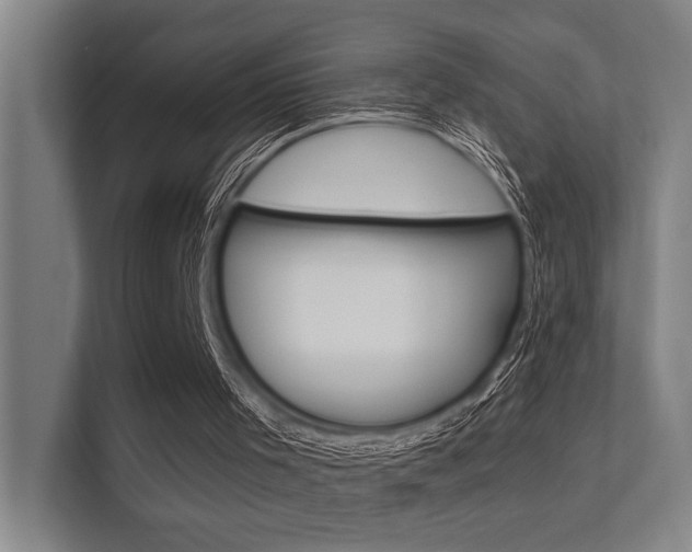 X0000112360001200908131244