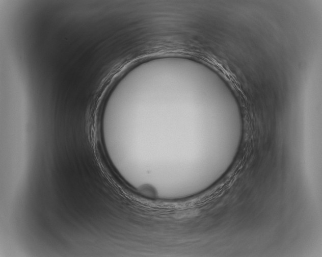 X0000112360002200908131243