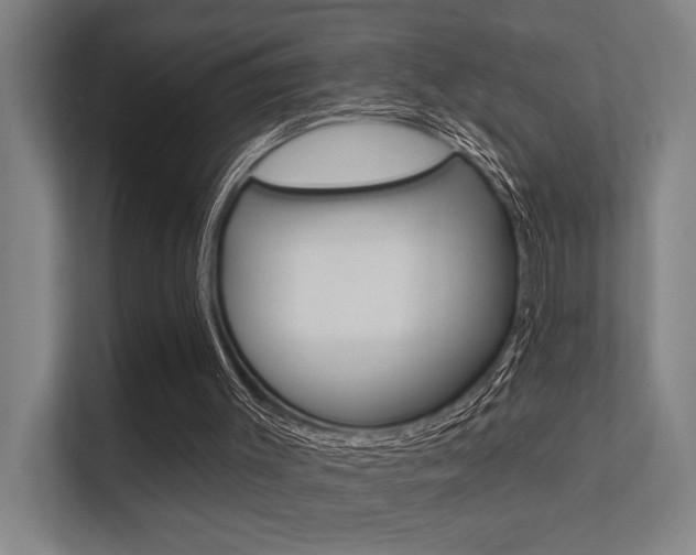 X0000112360003200908131243