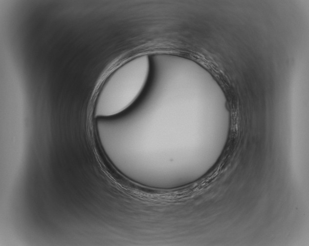 X0000112360004200908131243