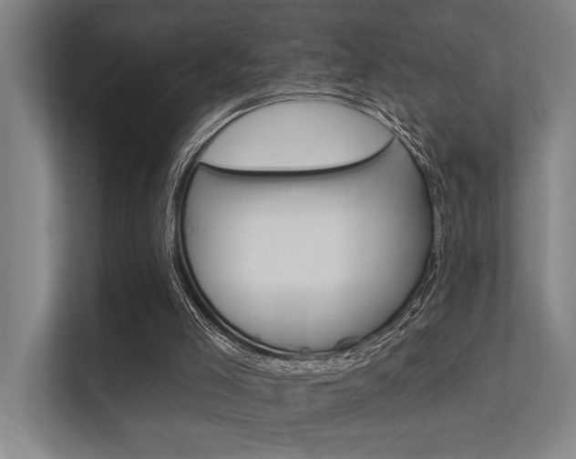 X0000112360005200908131243