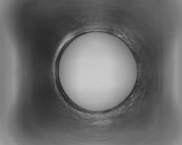 X0000112360006200908131243