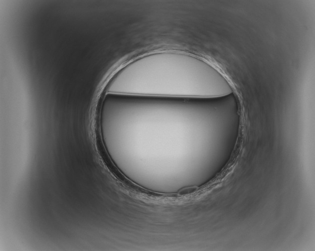 X0000112360007200908131243