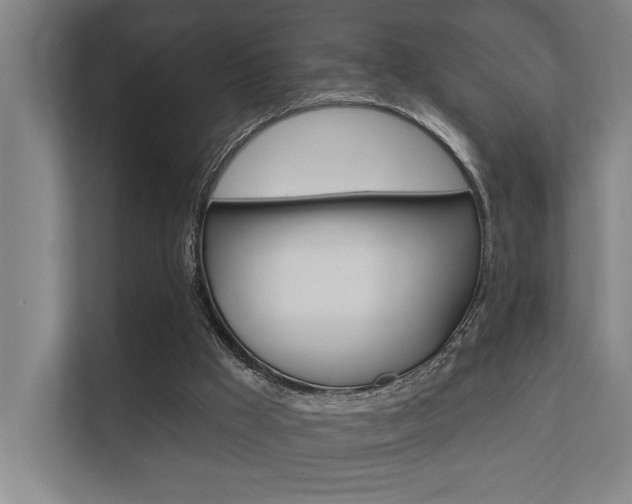 X0000112360009200908131243