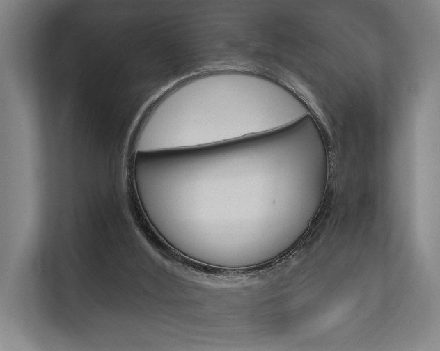 X0000112360012200908131243