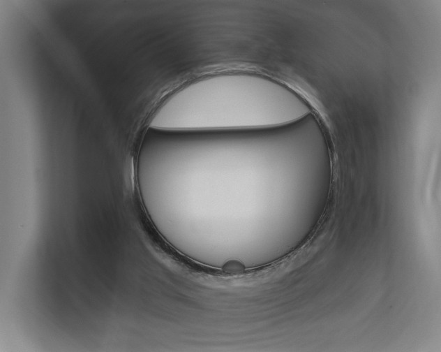 X0000112360013200908131243