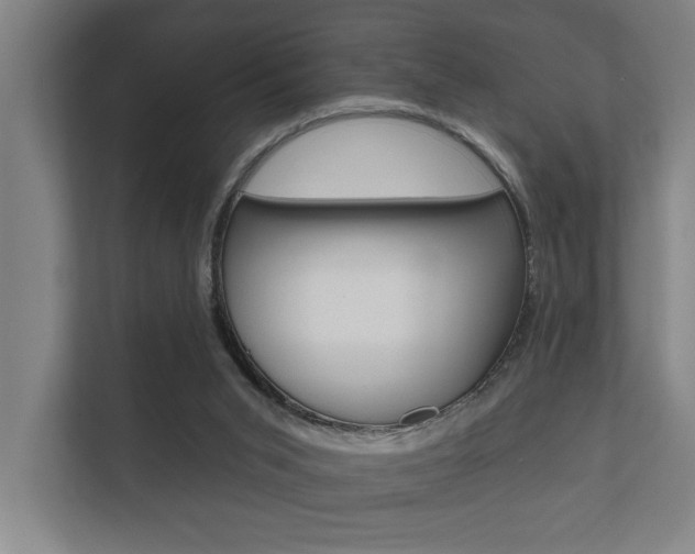 X0000112360015200908131243