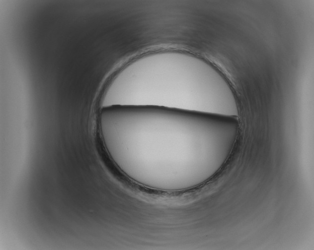 X0000112360016200908131243